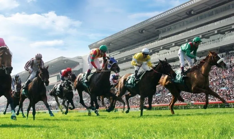 Đua Ngựa H3BET
